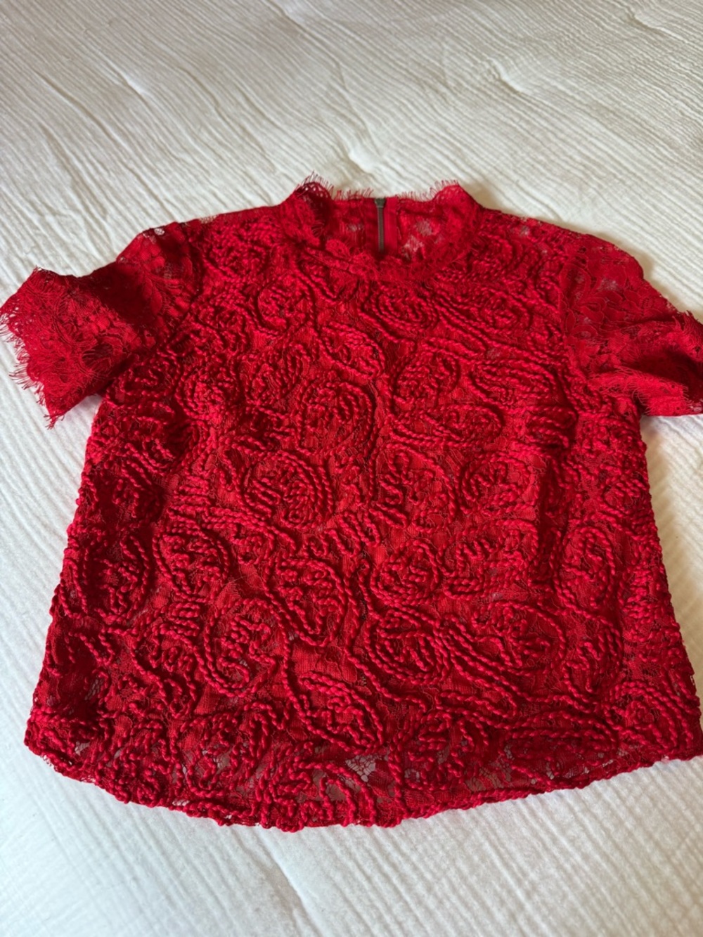 Zara Red Lace Short-Sleeve High Neck Blouse